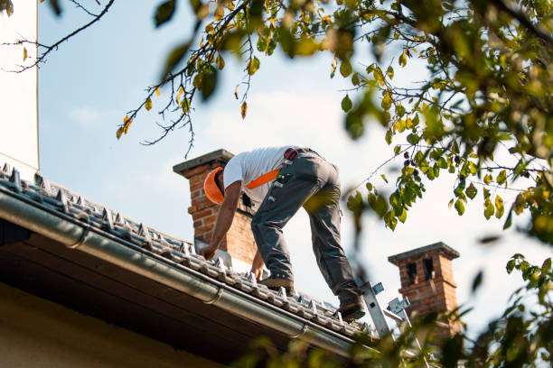 Best Roof Ventilation Installation  in Christmas, FL